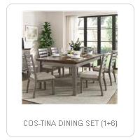 COS-TINA DINING SET (1+6)